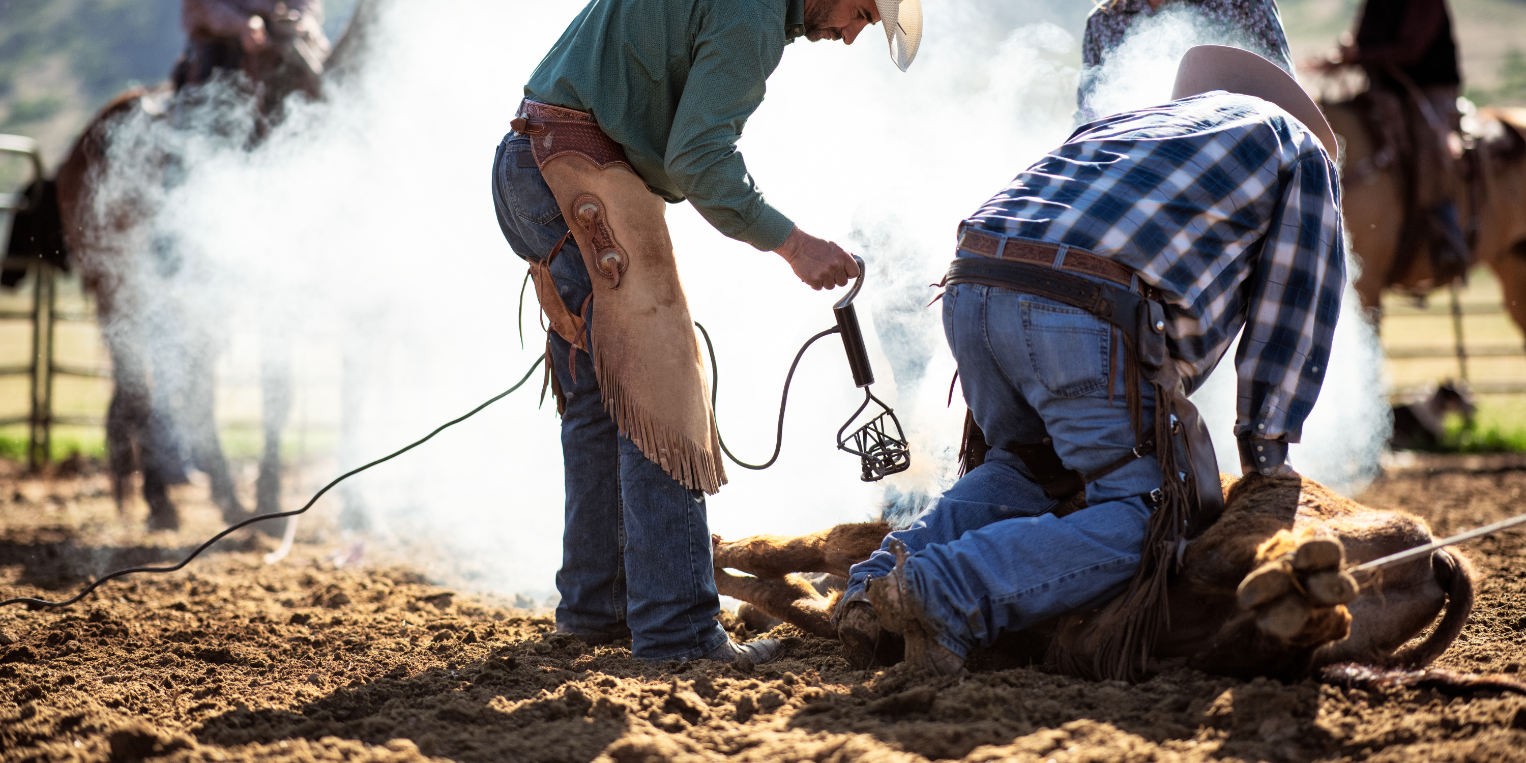 The Legal Landscape of Livestock Branding Across America