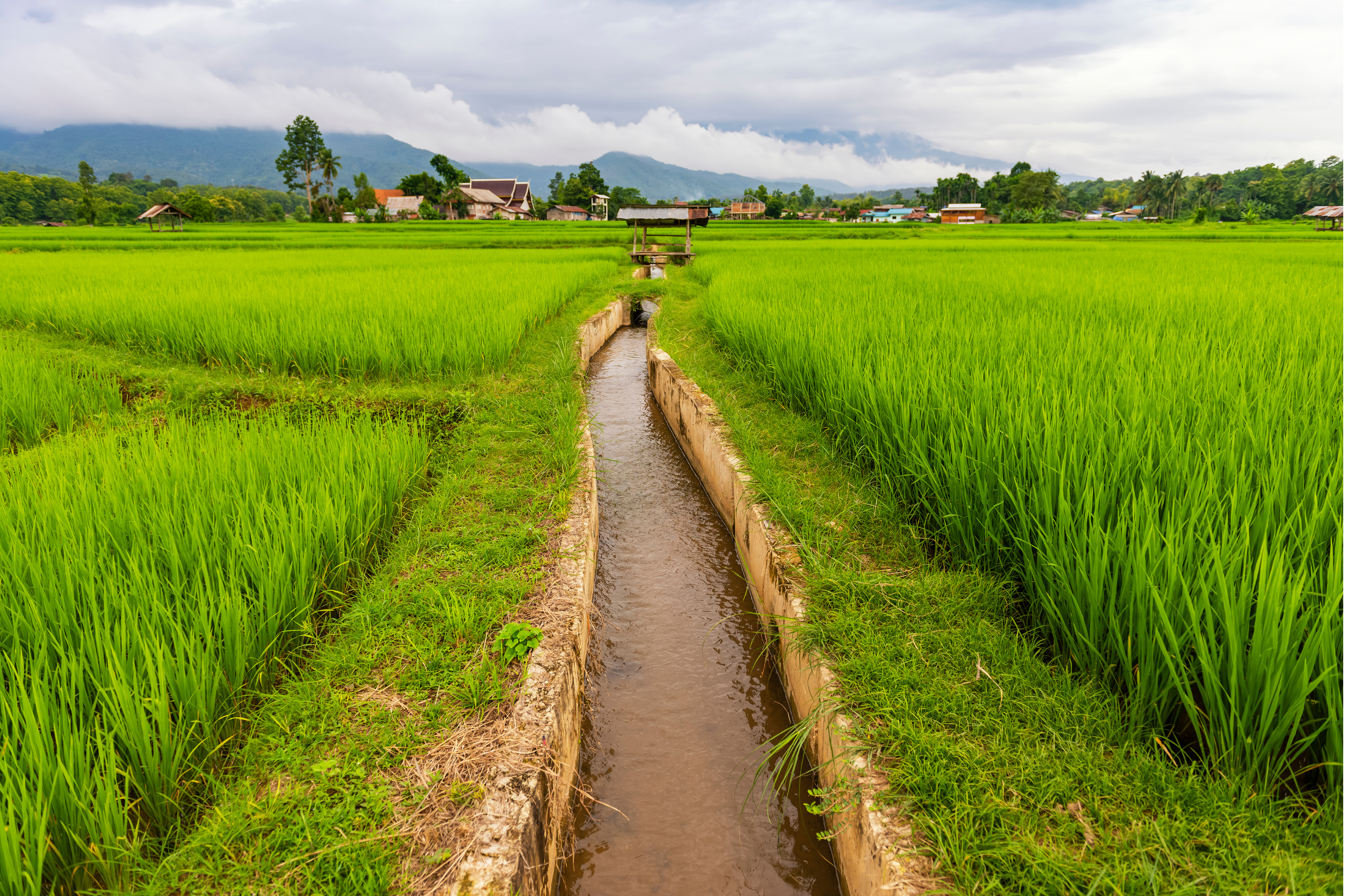 Irrigation with Canals and Ditches: A Classic Method for Supplying Water to Your Crops