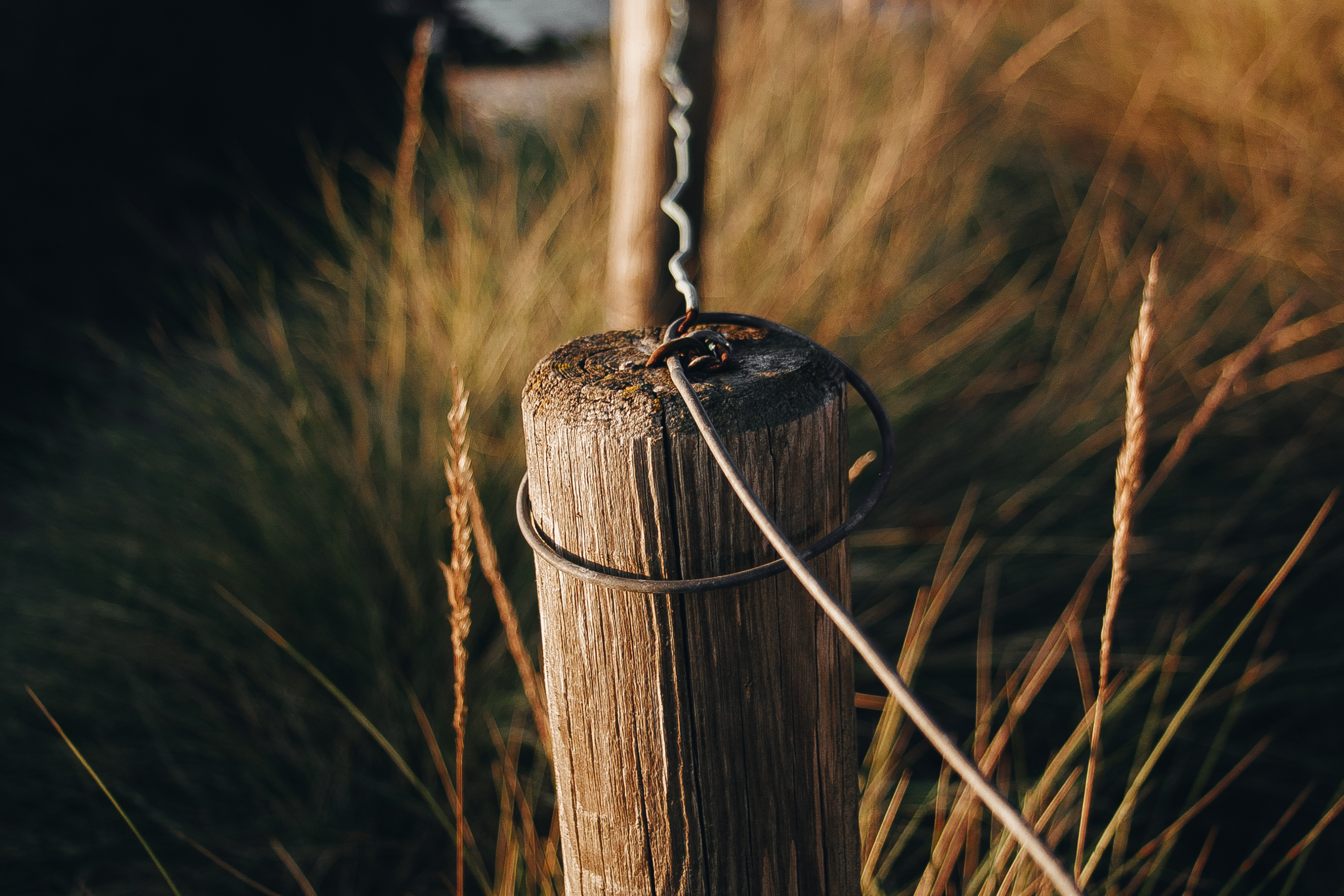 High-Tensile Wire Fencing: Strong, Long-Lasting, and Low Maintenance