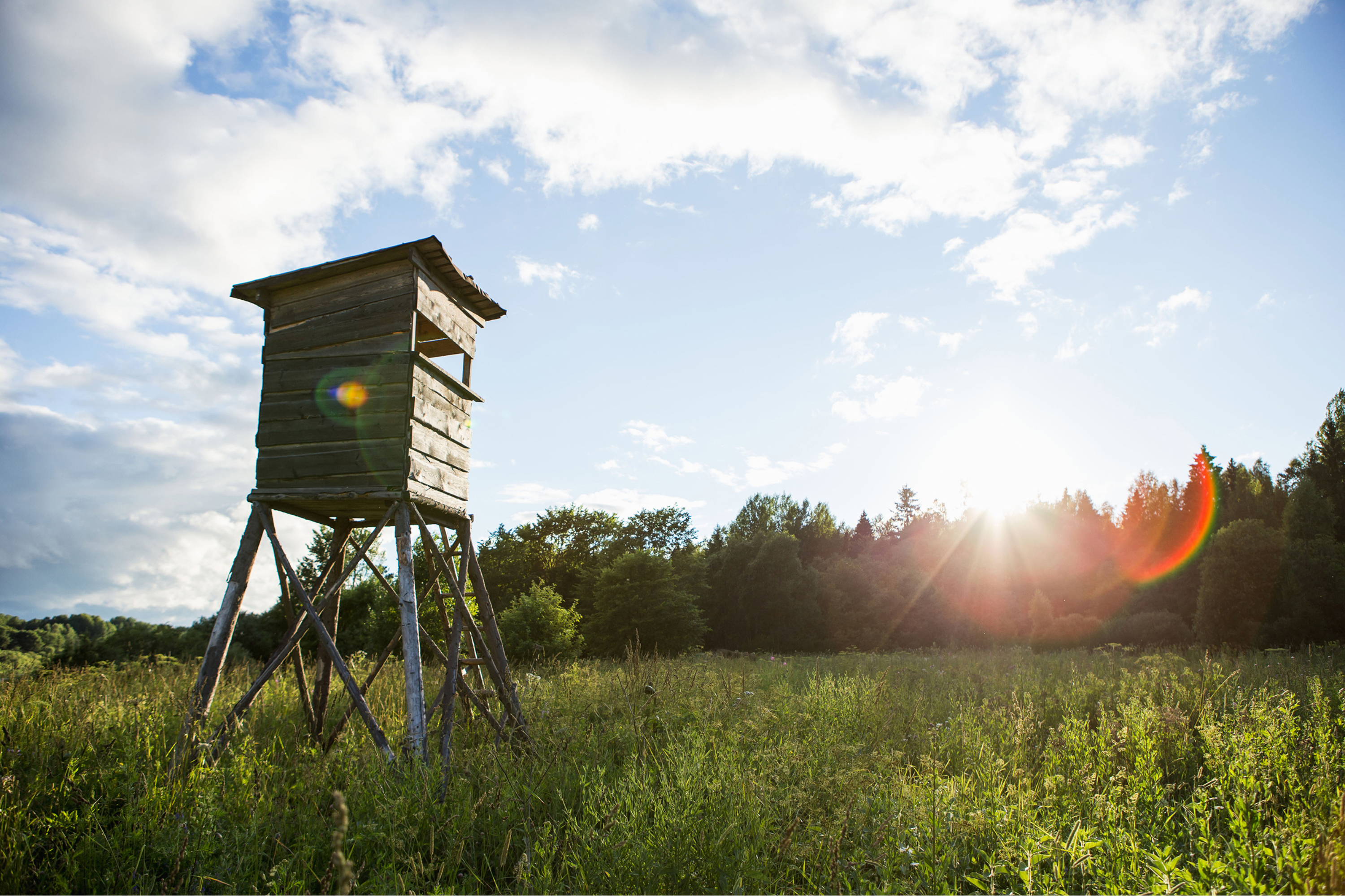 Post-Hunt Applications: Managing Game and Land Year-Round