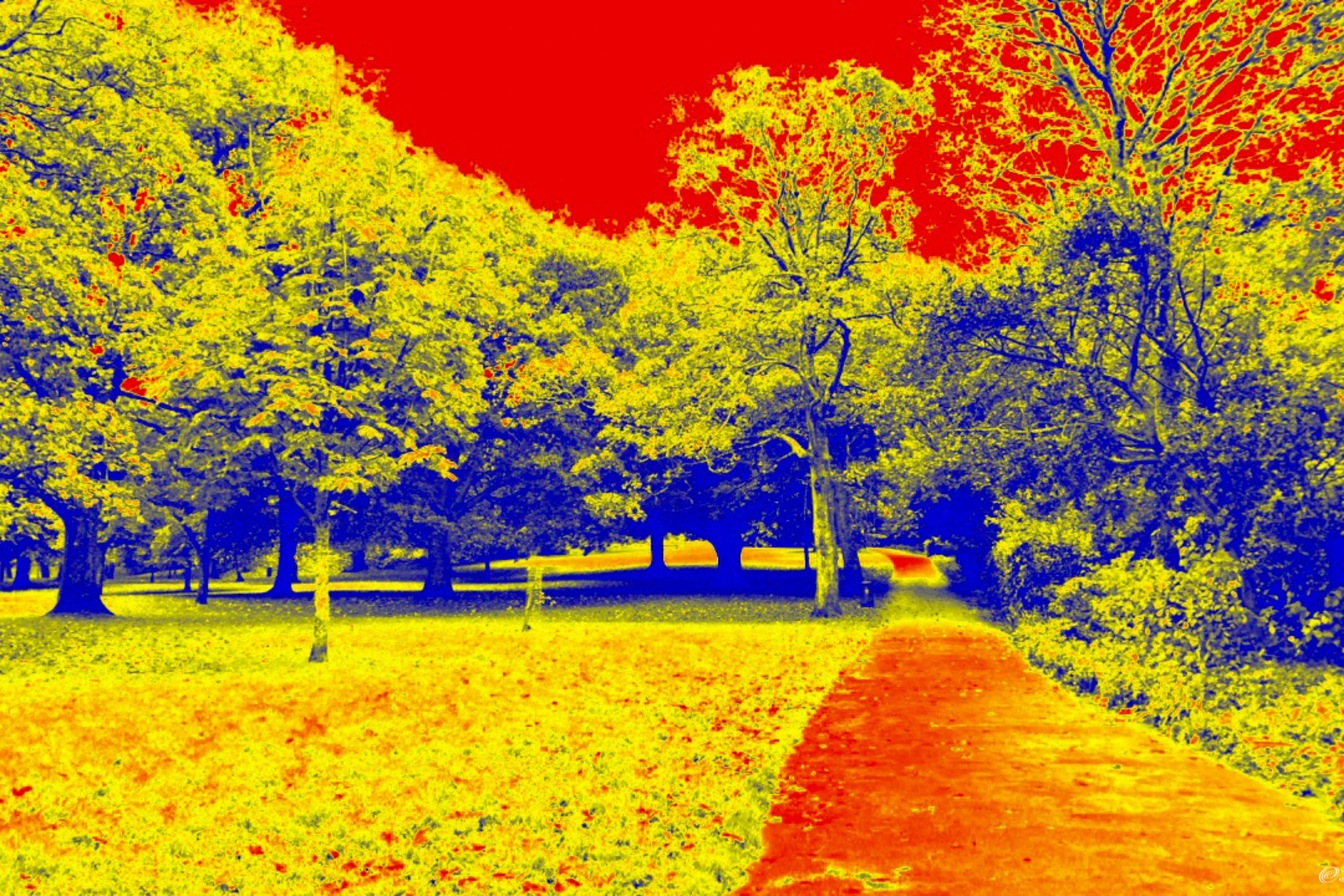 Exploring Infrared Technology in Modern Cameras