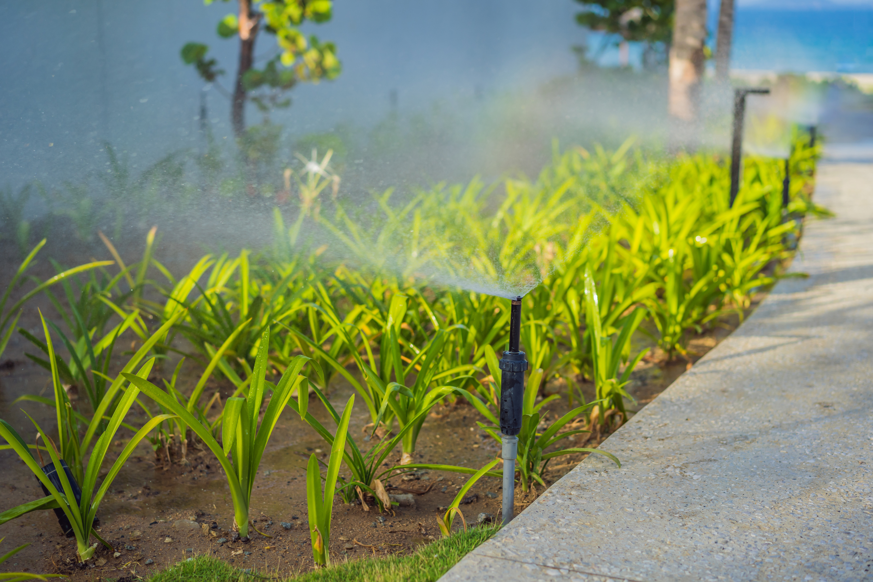 Micro-Sprinkler Irrigation: Gentle Rain for Every Plant