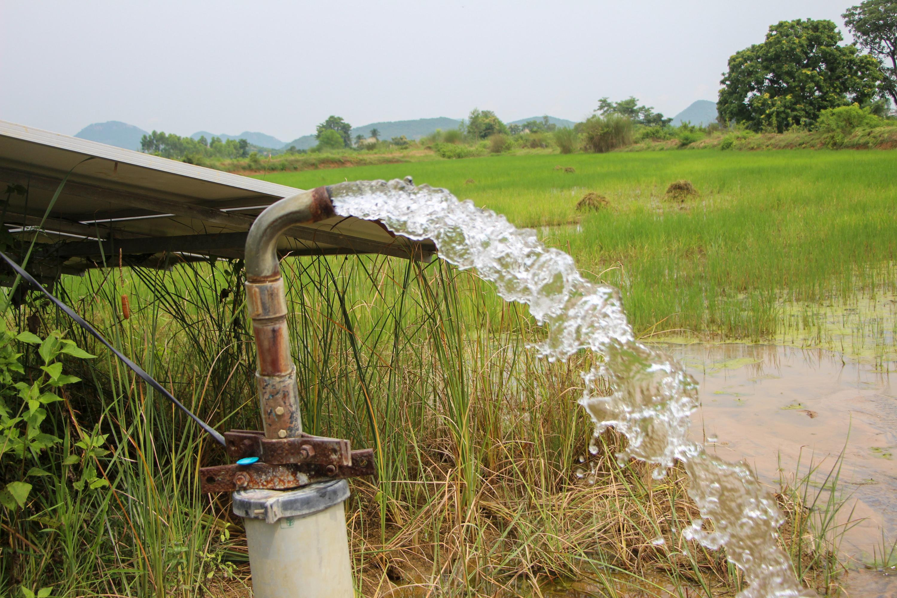 Tube Wells: Going Deep for Dependable Water on Your Homestead
