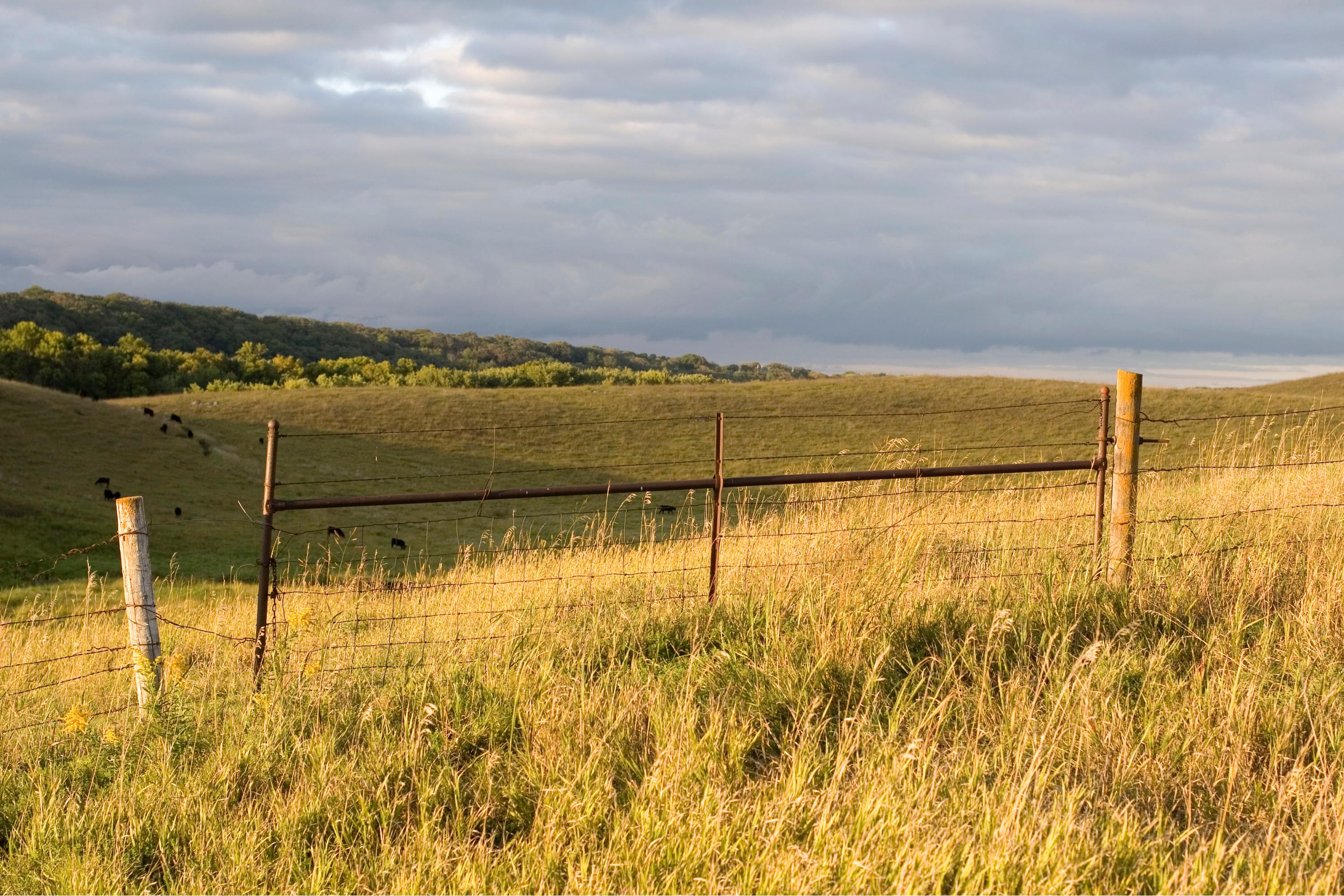 Wire Gates – Lightweight, Simple, and Time-Tested