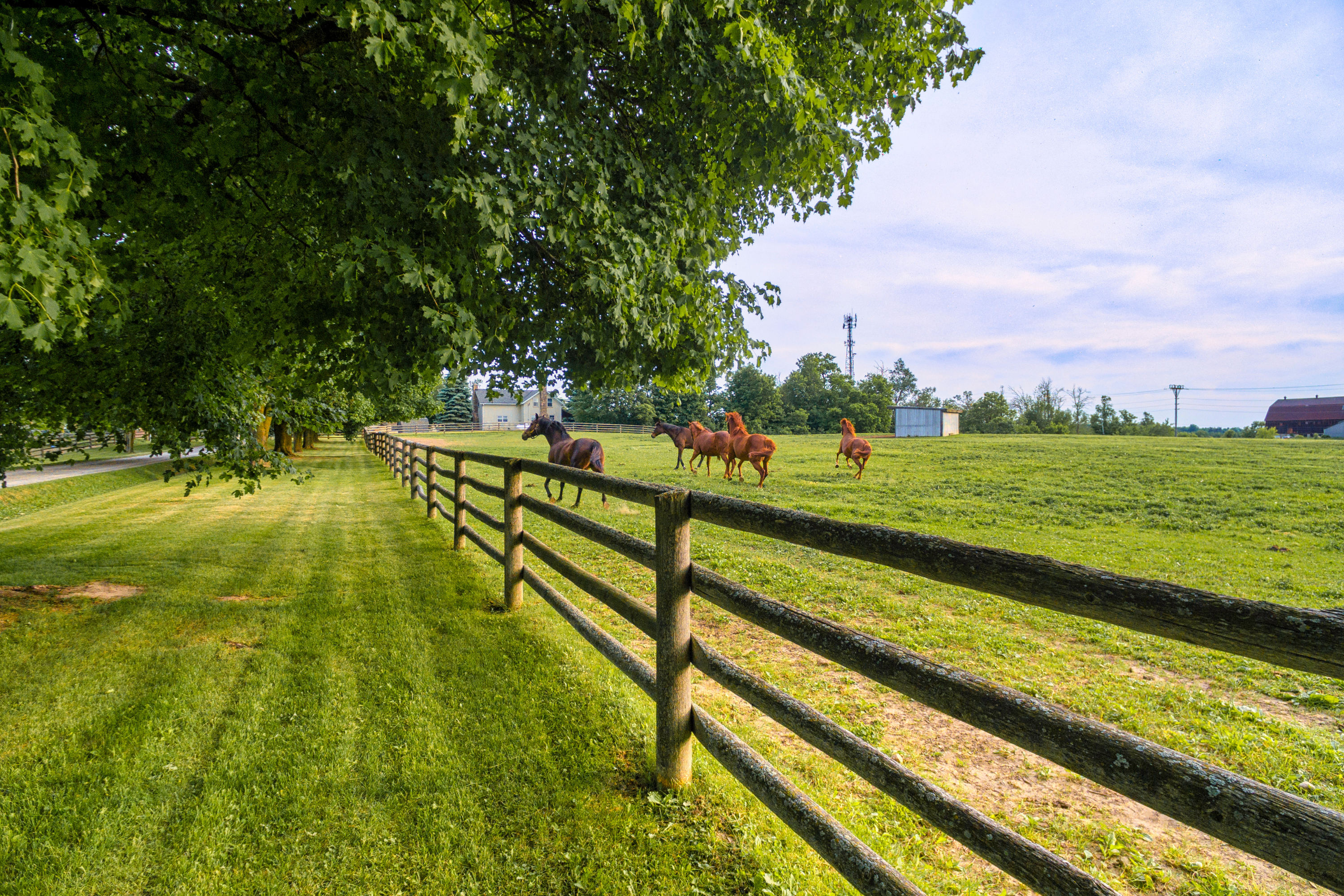 Pipe or Rail Fencing: A Durable and Attractive Option for Livestock and Property