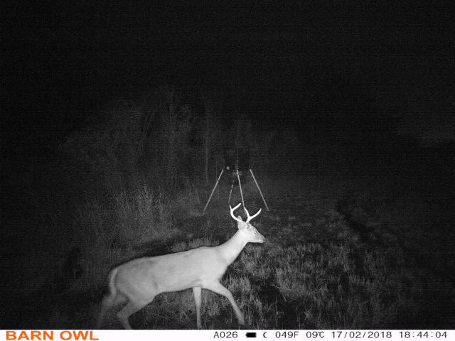 Non-Flash Game Cameras: A Comprehensive Guide