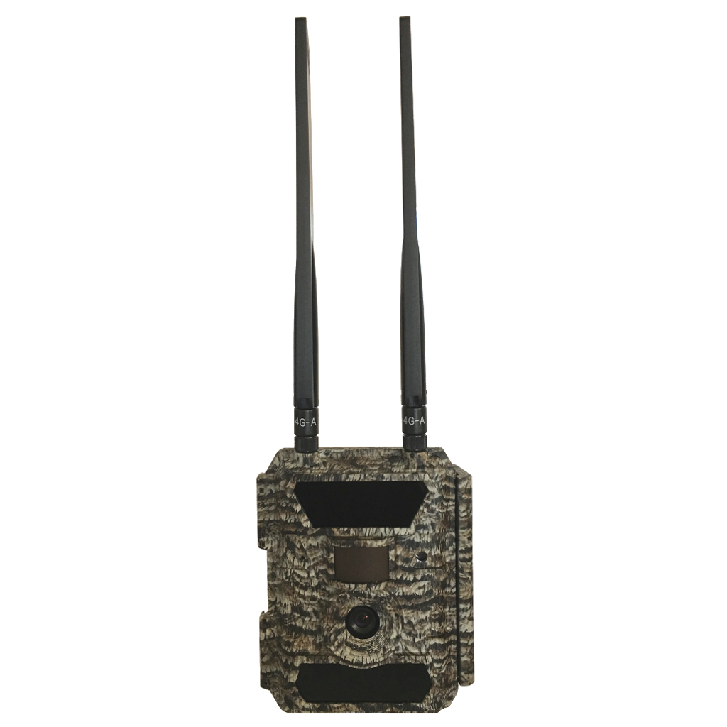 Decoy Camera (NonFunctioning Camera) Barn Owl Tech