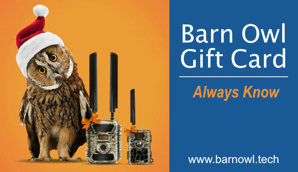 Gift Card Barn Owl Tech
