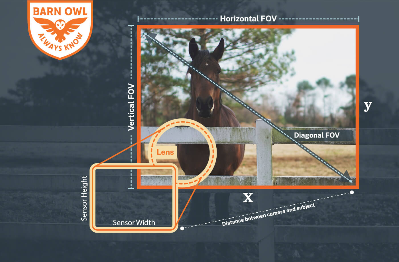 Comparison Guide: Best Camera Lens for Remote Monitoring and Security