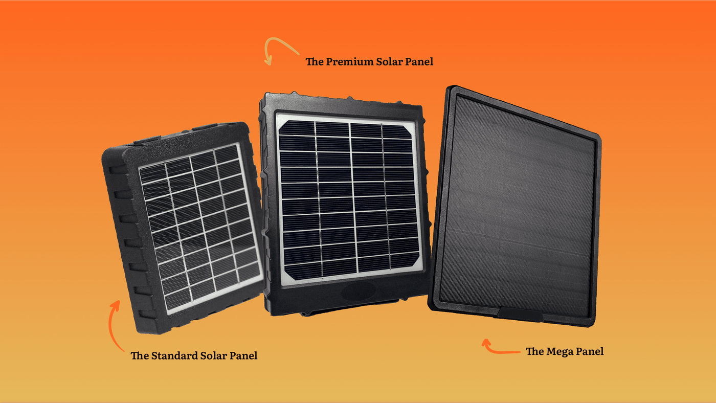 Best Solar Panels for Cellular Cameras: External vs Integrated