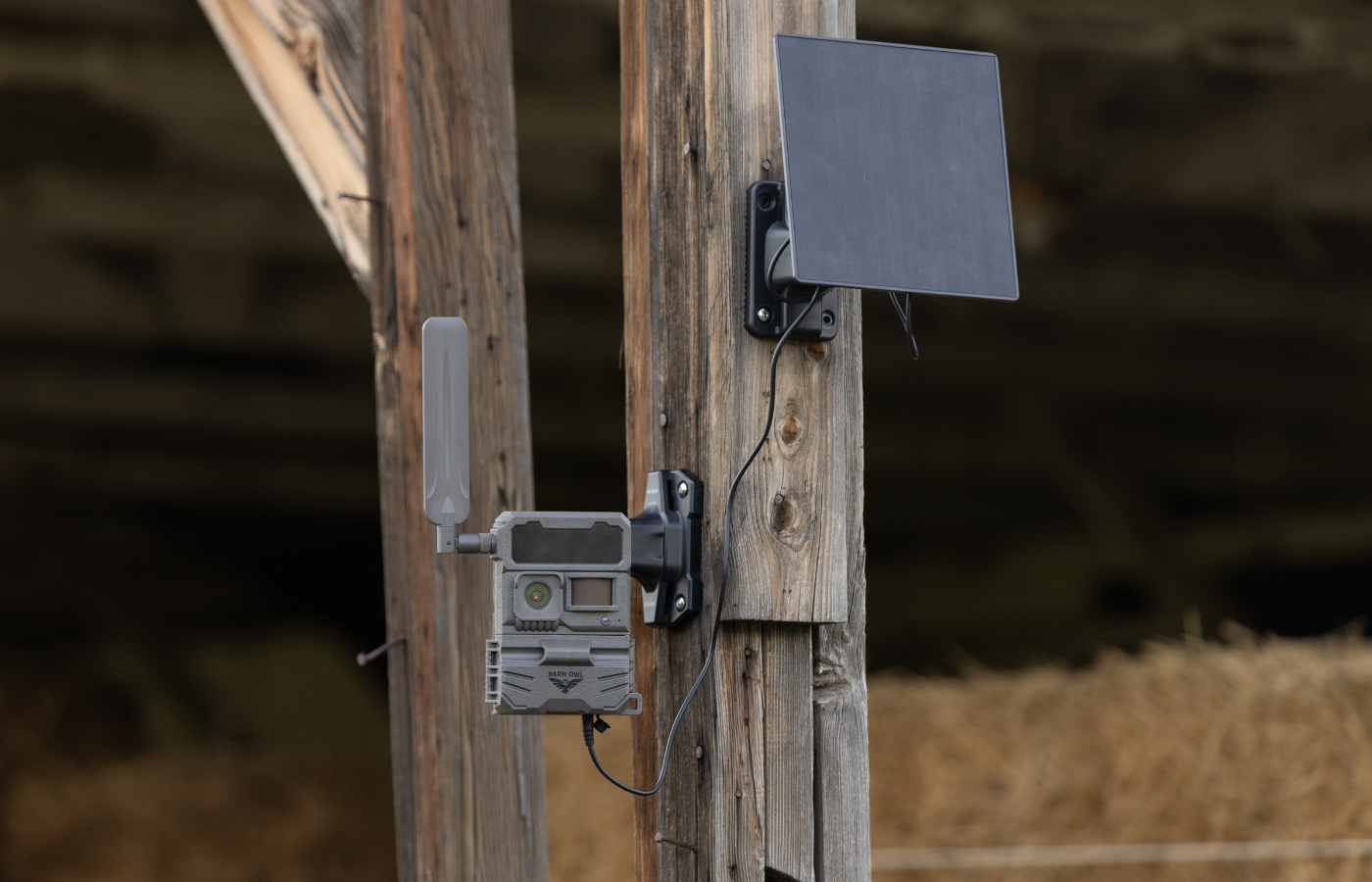 How Livestreaming Improves Remote Monitoring for Agriculture and Security
