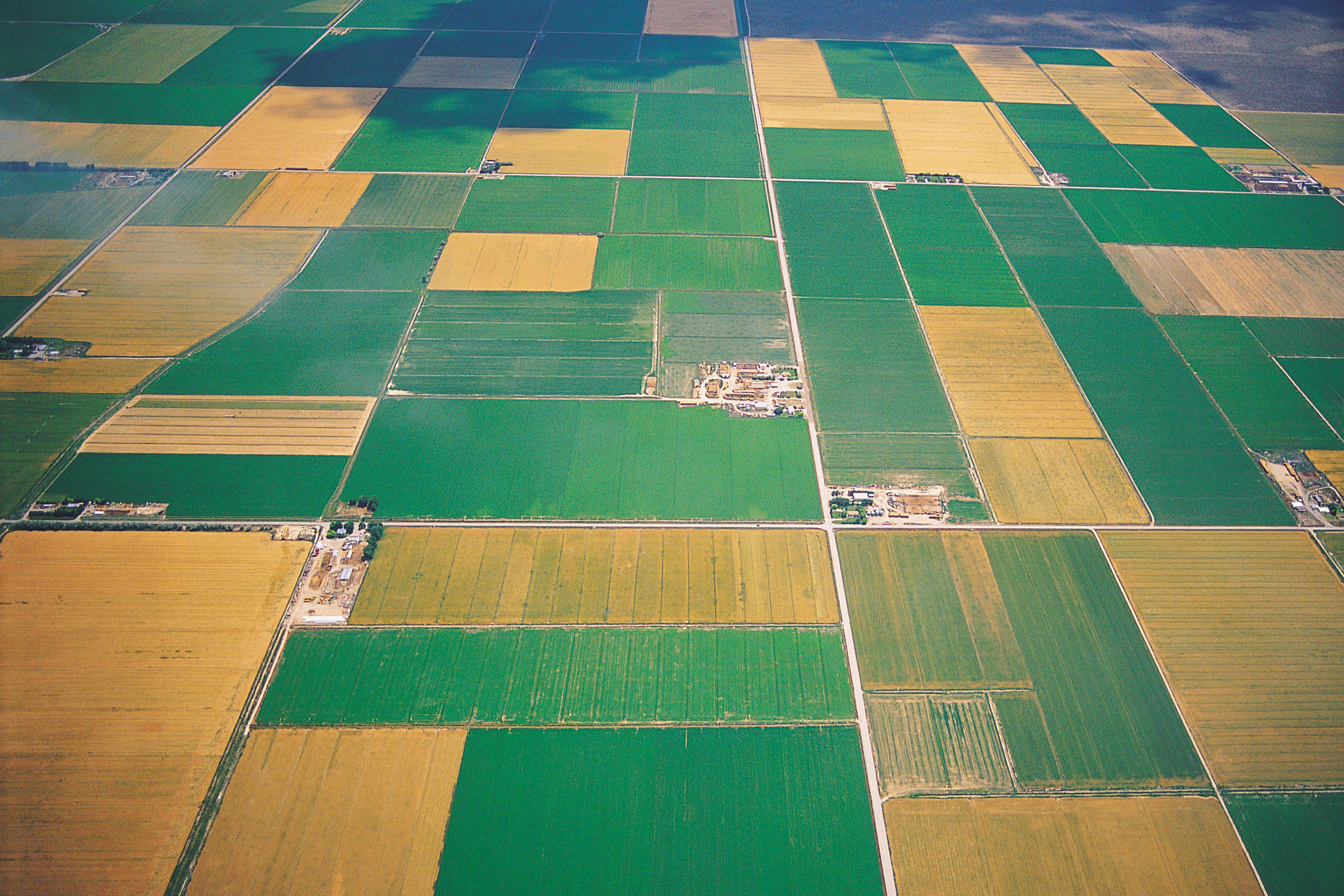 Understanding Area Risk Protection Insurance (ARPI)