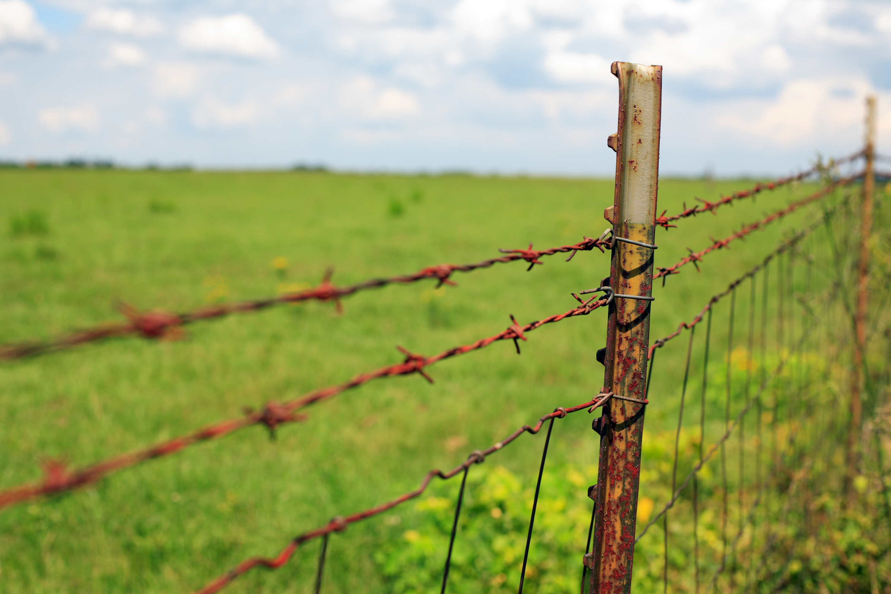 Barbed Wire Fencing: A Classic Choice for Livestock Management
