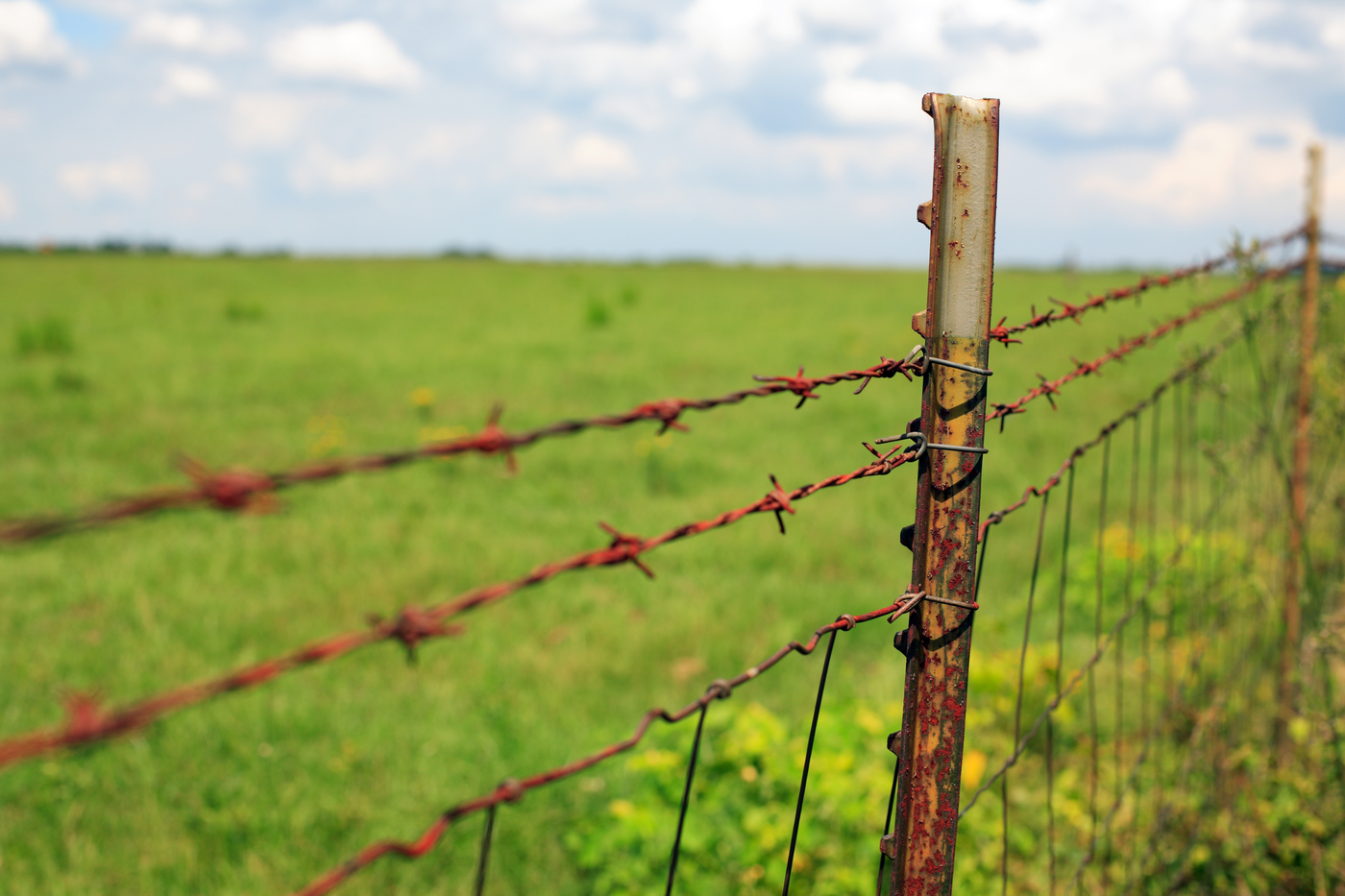 Barbed Wire Fencing: A Classic Choice for Livestock Management