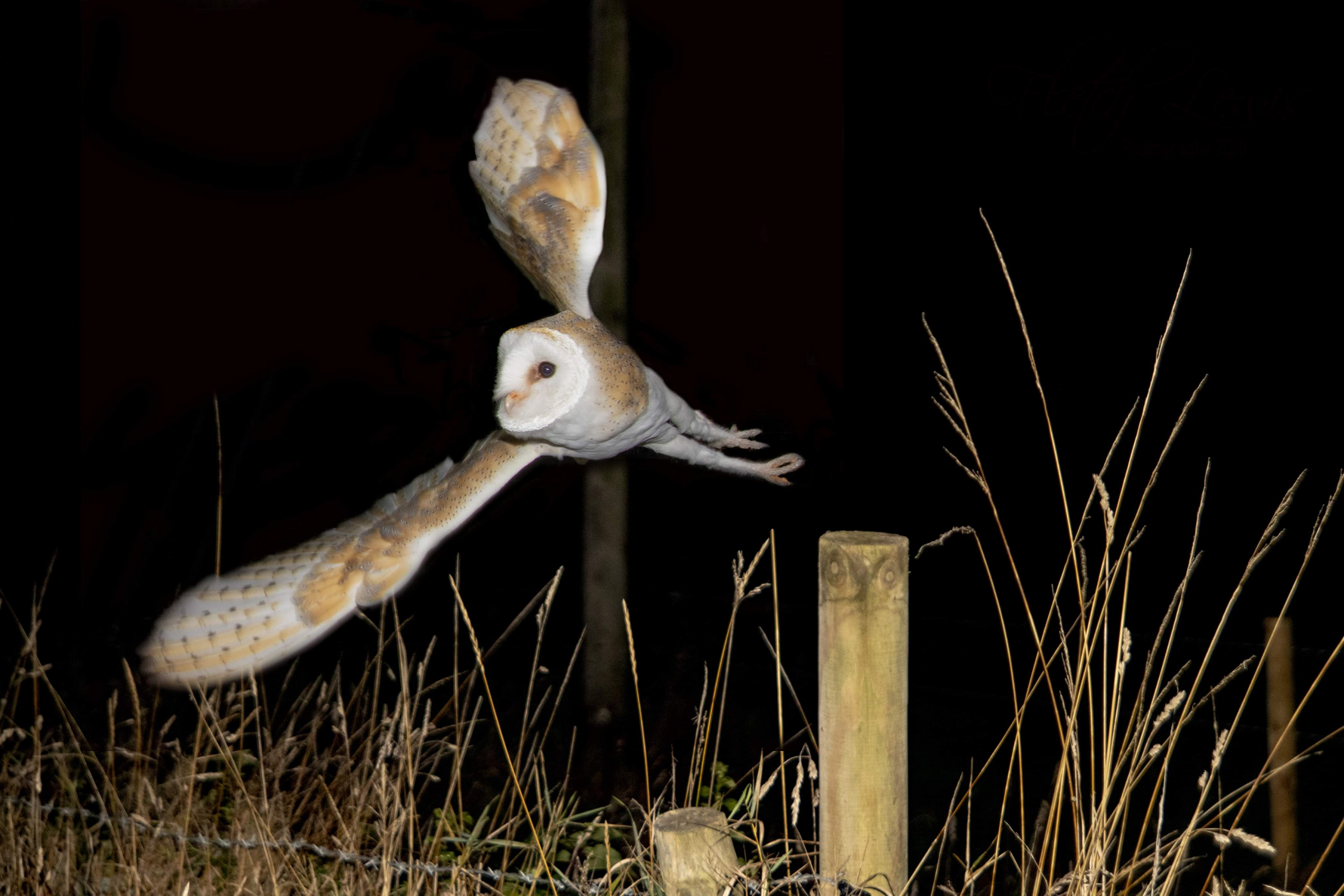 Why Fall Nighttime Security Matters on Farms and Ranches
