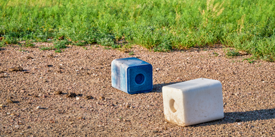 Where (and Why) to Place Mineral Supplements for Your Livestock