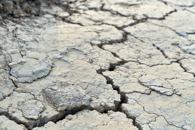 Catastrophic Coverage: Basic Protection for the Toughest Seasons