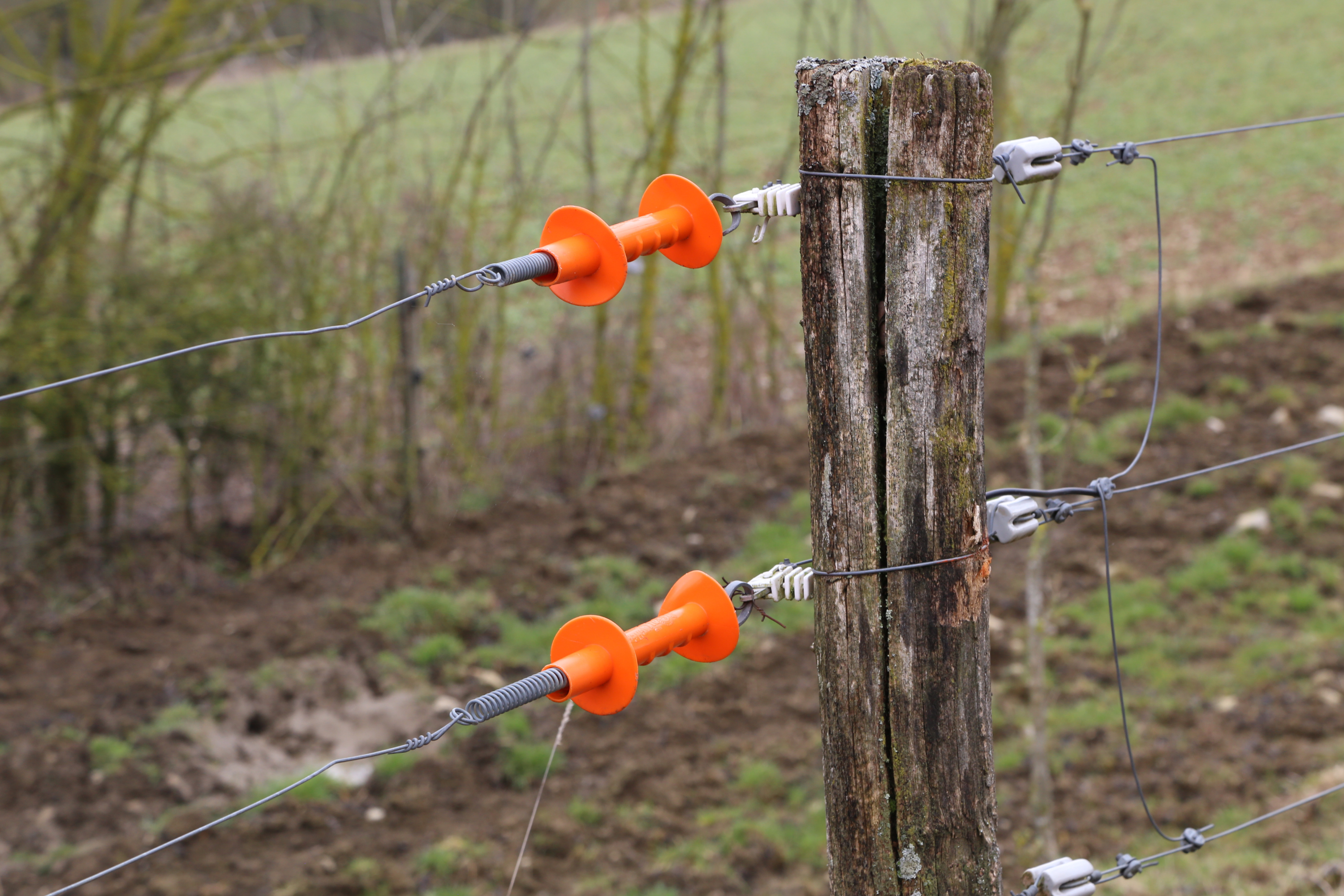 Electric Fencing: A Smart, Flexible Solution for Livestock and Property Management