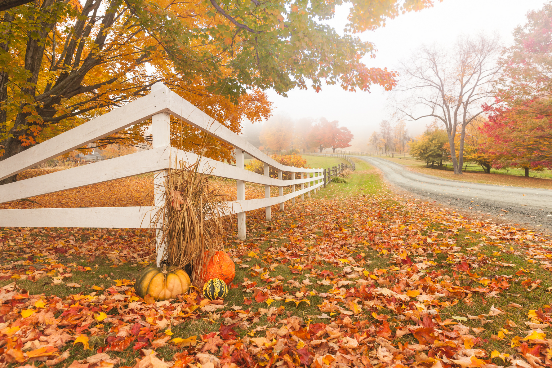 Fencing, Gates, and Boundary Checks for Fall