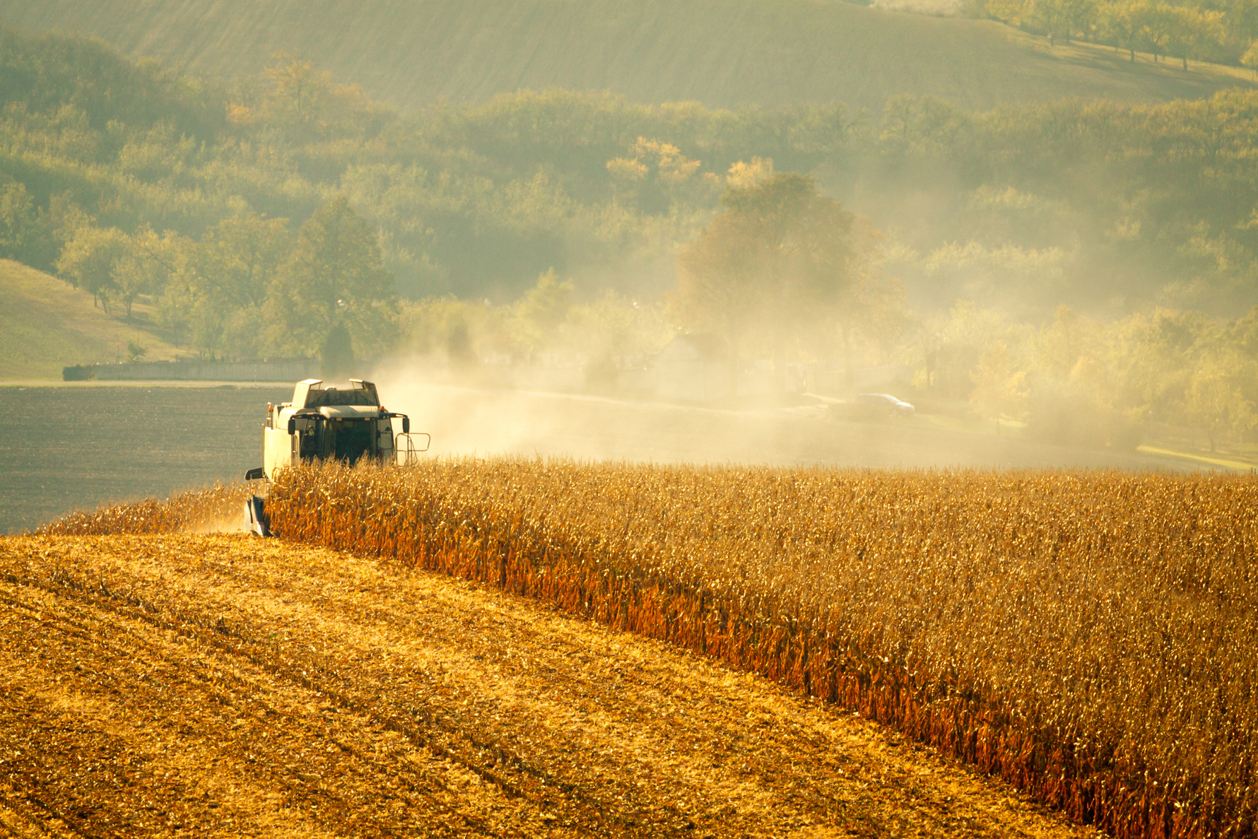 Scouting Fields in Real Time Without Leaving the Cab