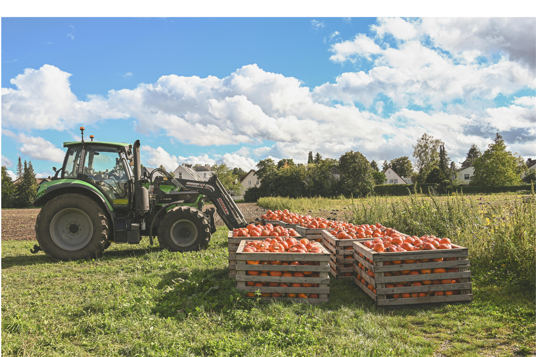 Optimizing Harvest Workflow with Real-Time Monitoring