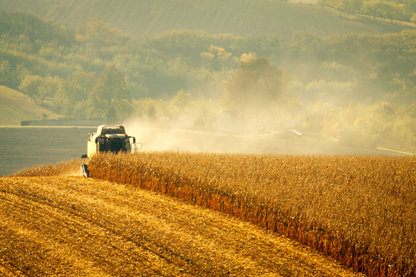 Protecting Farm Assets During Harvest with Barn Owl
