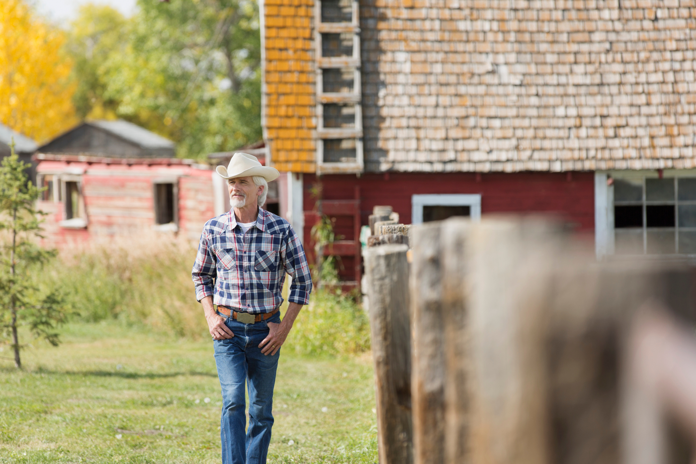 Best Livestock Cameras for Remote Areas