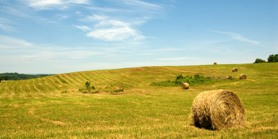 Funding the Future of Farming: State and Federal Preservation Programs