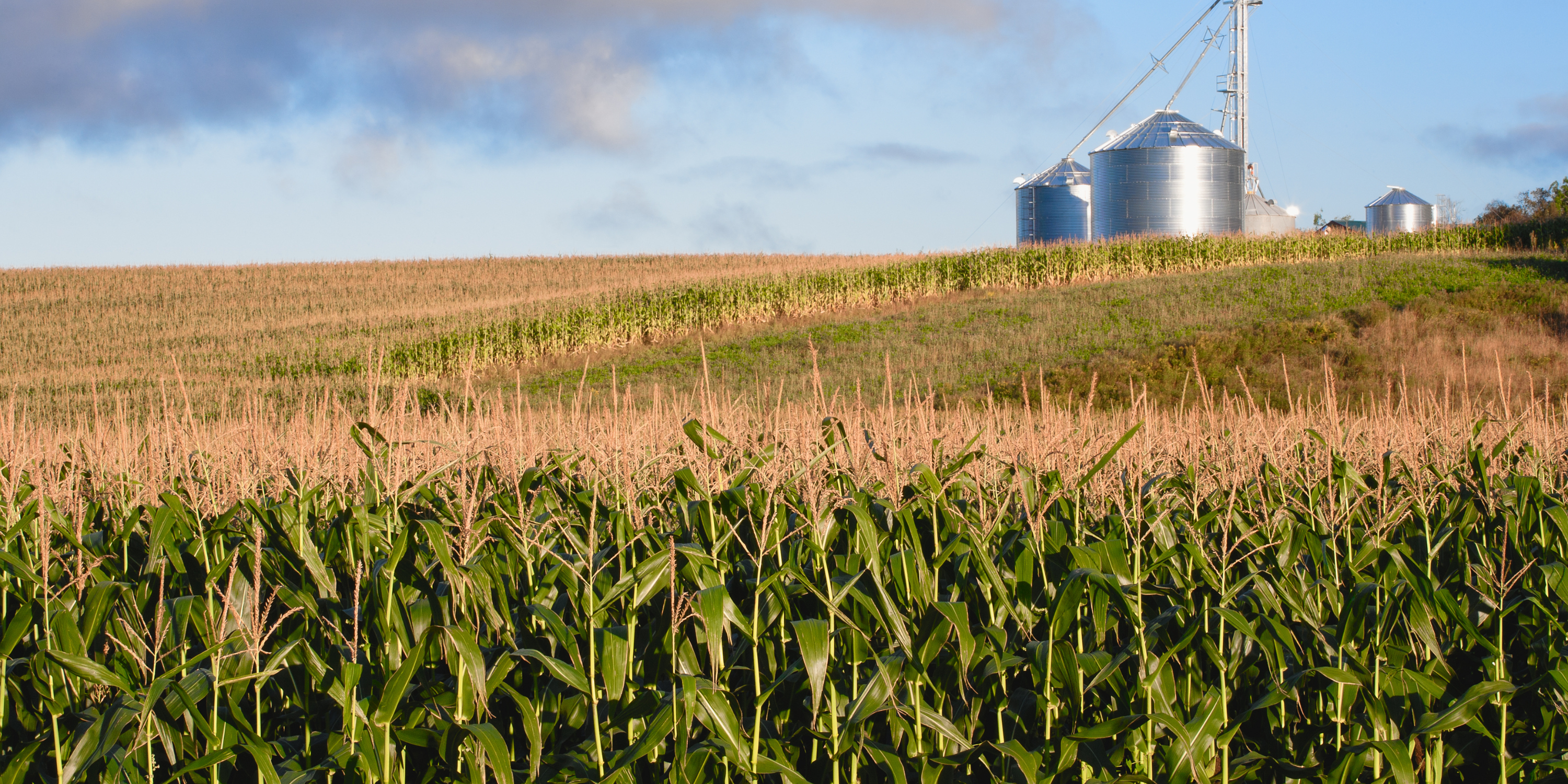 Passing the Torch: How Farm Link and Succession Planning Programs Keep Farmland Farming