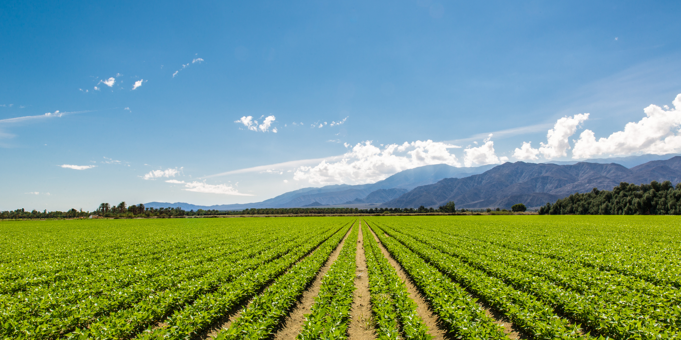 Safeguarding America's Working Lands: Farmland Preservation Tools in the U.S.