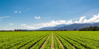 Safeguarding America's Working Lands: Farmland Preservation Tools in the U.S.