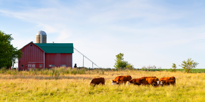Protecting Farmland Through Policy: What Is Agricultural Zoning?