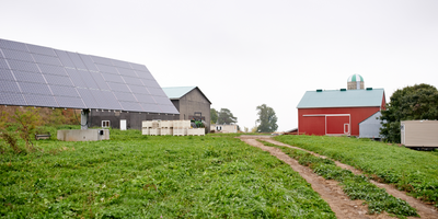 Agricultural Districts: Voluntary Protection for Working Lands
