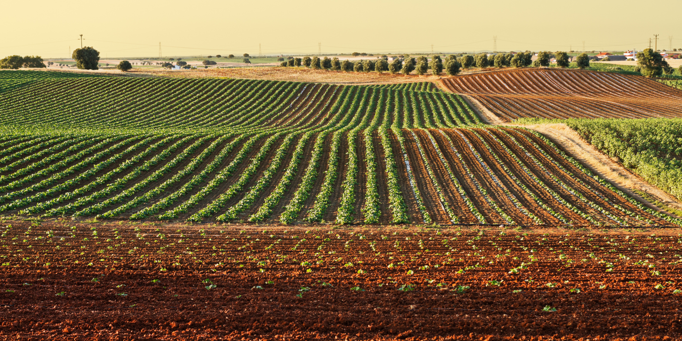 Ley Farming: A Sustainable Approach to Crop and Livestock Integration