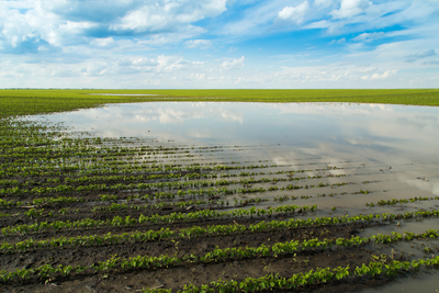 Disaster Assistance Programs for Farmers and Ranchers in the United States: A Vital Safety Net