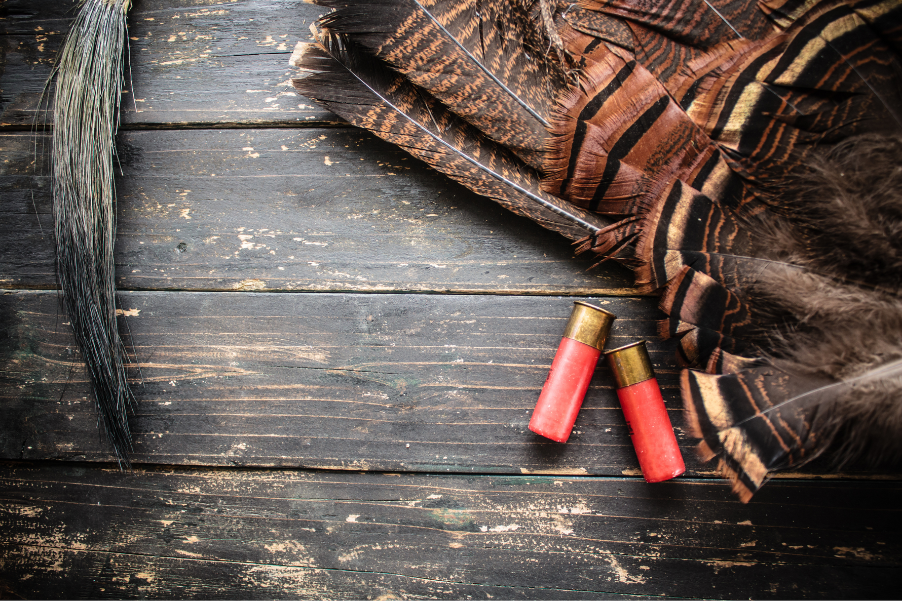 Getting Licensed and Choosing Equipment: What Rural Hunters Need to Know