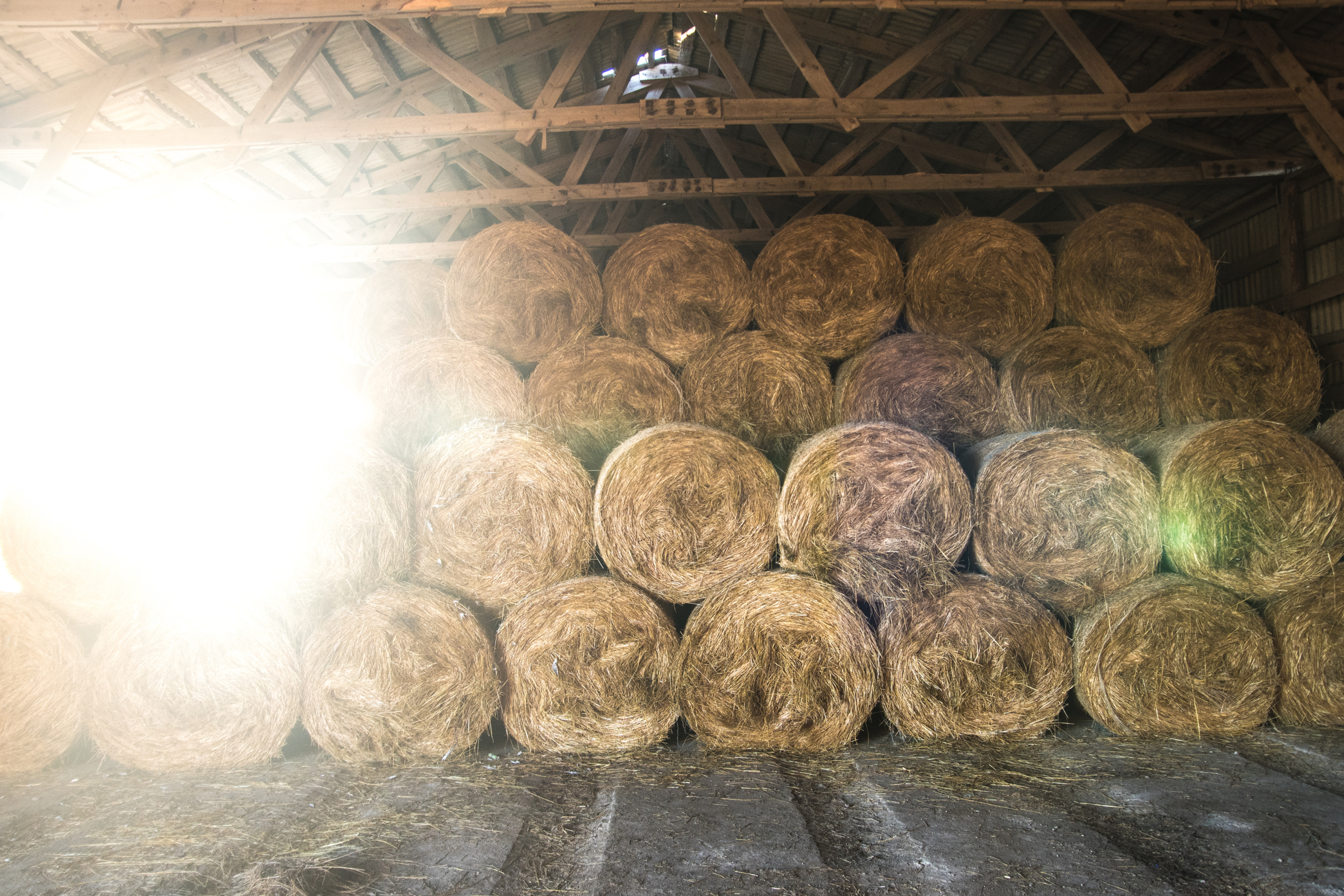 Moisture: The Silent Destroyer of Stored Feed (And How to Stop It)