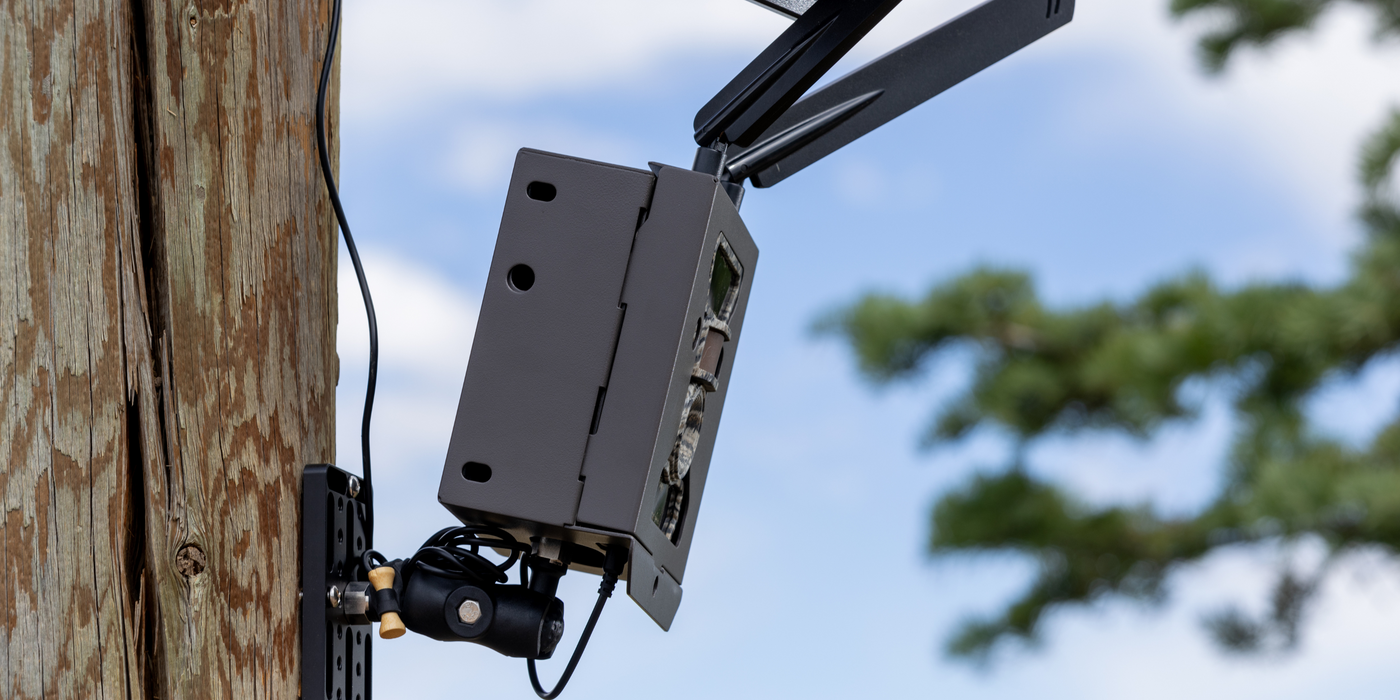 Best Practices for Using Hidden Cameras