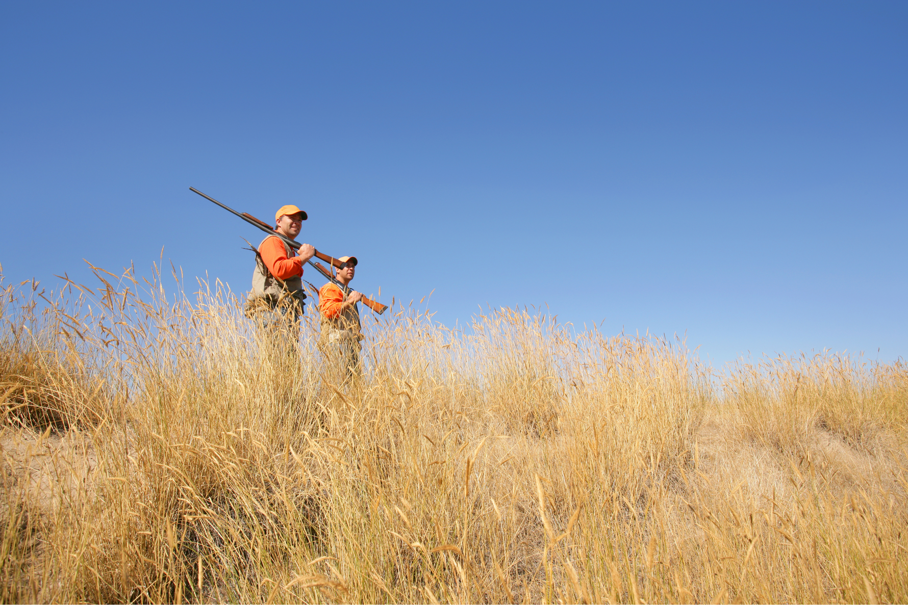Security in the Woods: Protecting Gear, Feeders, and Stands