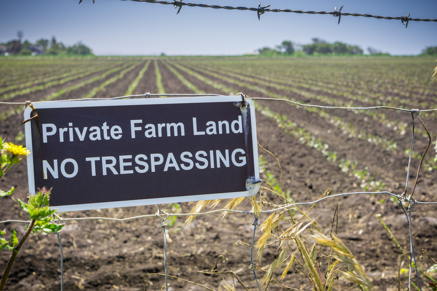 Exploring the Benefits of Cellular Game Cameras for Agricultural Use