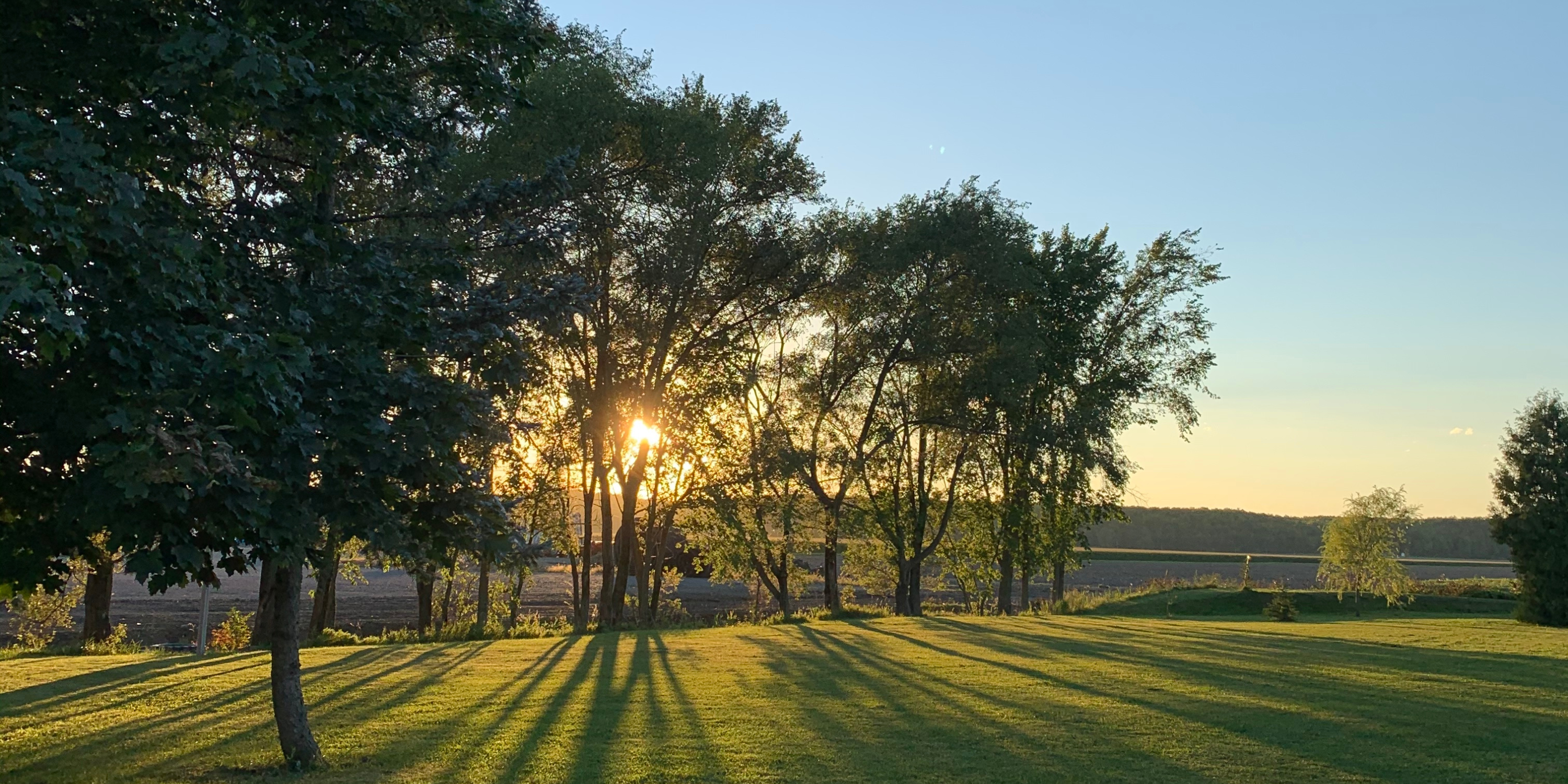 Agroforestry: The Synergy of Trees and Crops for Resilient Farming