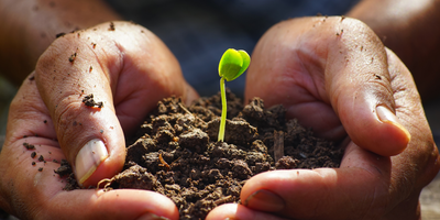 Spring Planting Season: Embracing Diverse Methods for a Bountiful Harvest