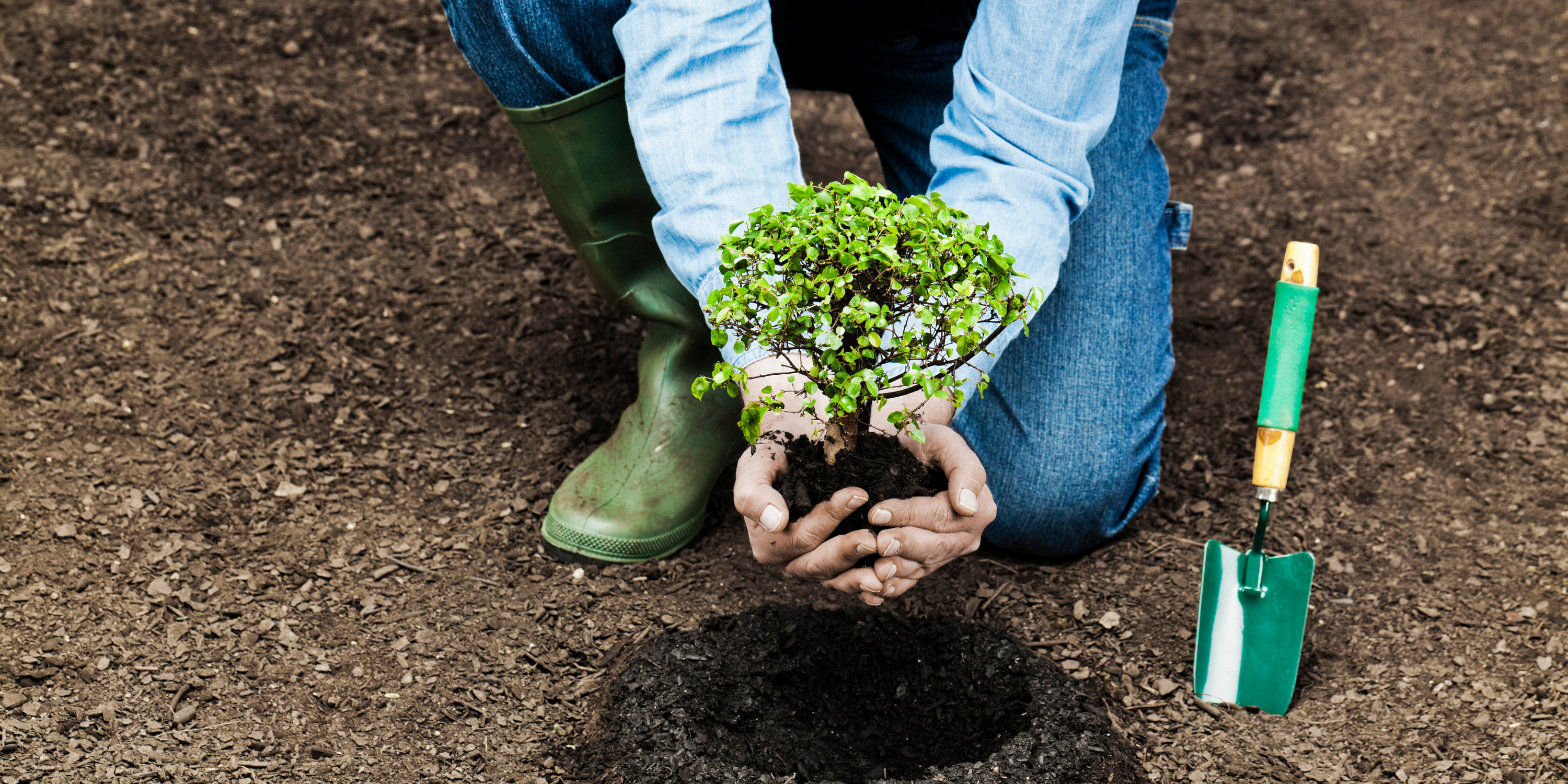Early Spring Planting Techniques: Kickstart Your Garden for a Bountiful Season