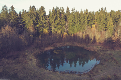 Farm Ponds and Tanks: Storing Water for When Your Crops Need It Most