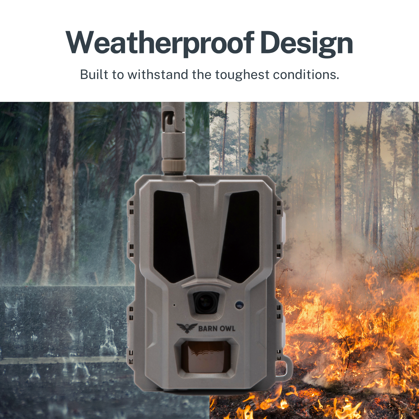 Understanding IP Ratings for Remote Cameras—and Why Barn Owl Leads the Pack