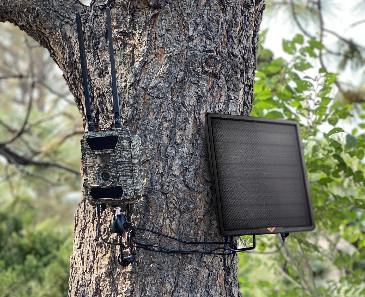 Choosing the Best Hidden Outdoor Cameras