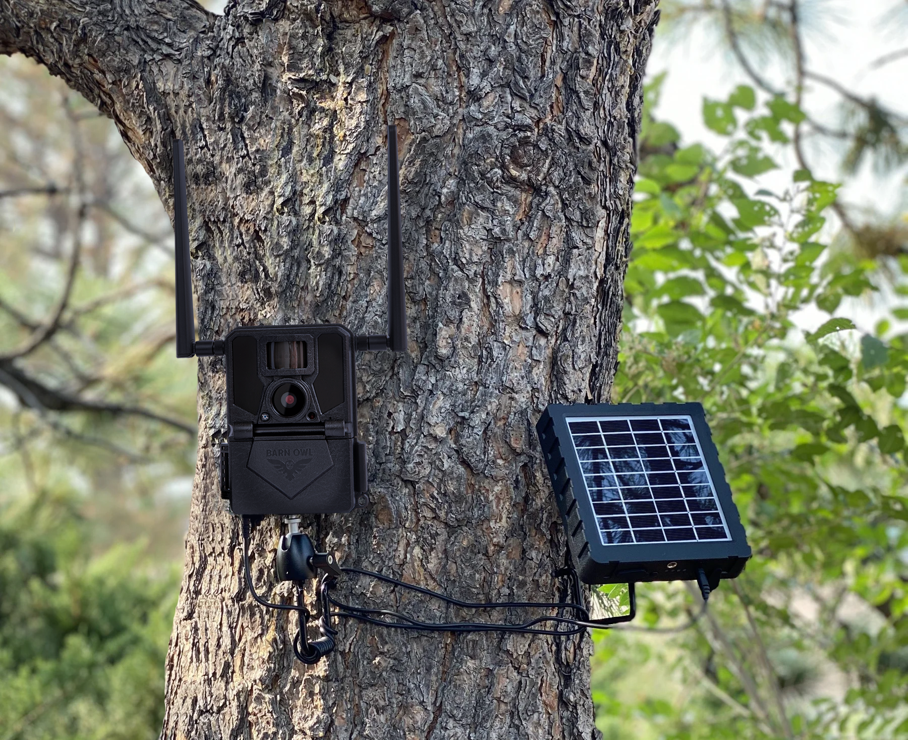 Choosing the Best Hidden Outdoor Cameras – Barn Owl Tech