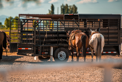 Keep an Eye on Your Horses at the Rodeo — Even When You’re Away from the Trailer