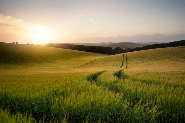 Benefits of Using Solar Trail Cameras