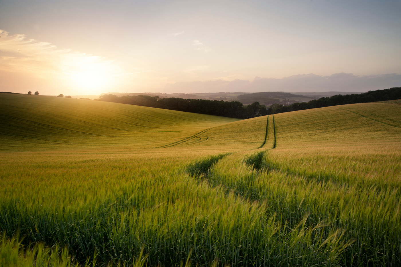 Benefits of Using Solar Trail Cameras